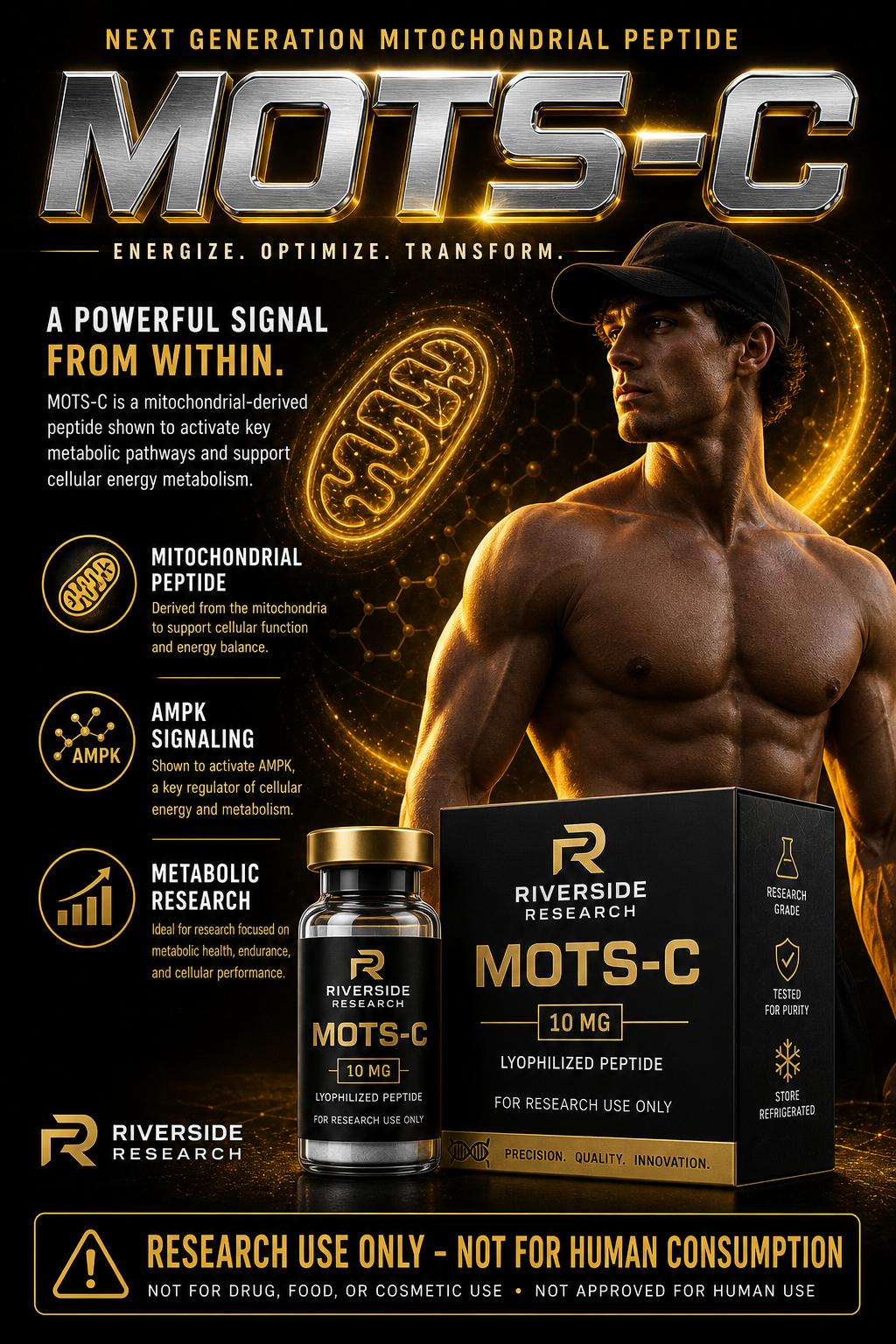 Mots-C brochure artwork